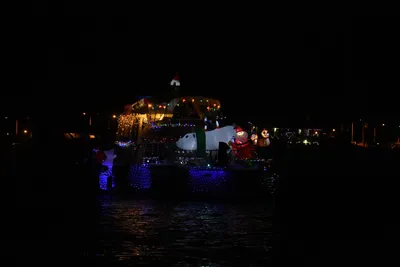 DSC_2504 (Large).JPG